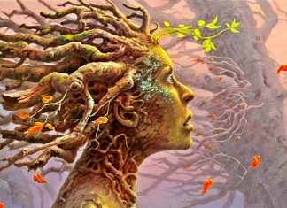 Sachez que tout chemin que vous parcourez en cet instant précis, sont des chemins de guérisons pour votre être